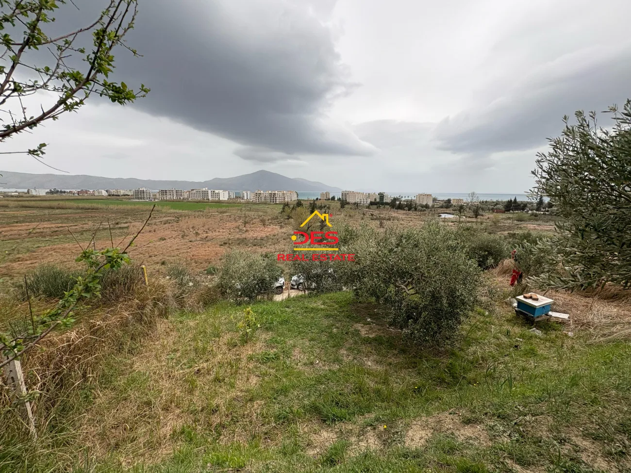 Shitet tokë – are në radhimë, vlorë.