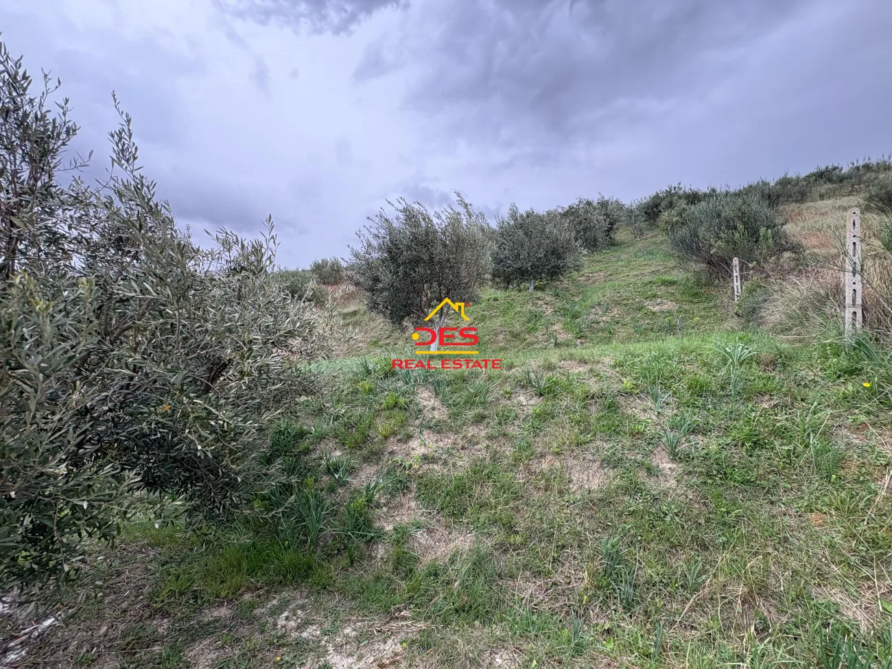 Shitet tokë – are në radhimë, vlorë.