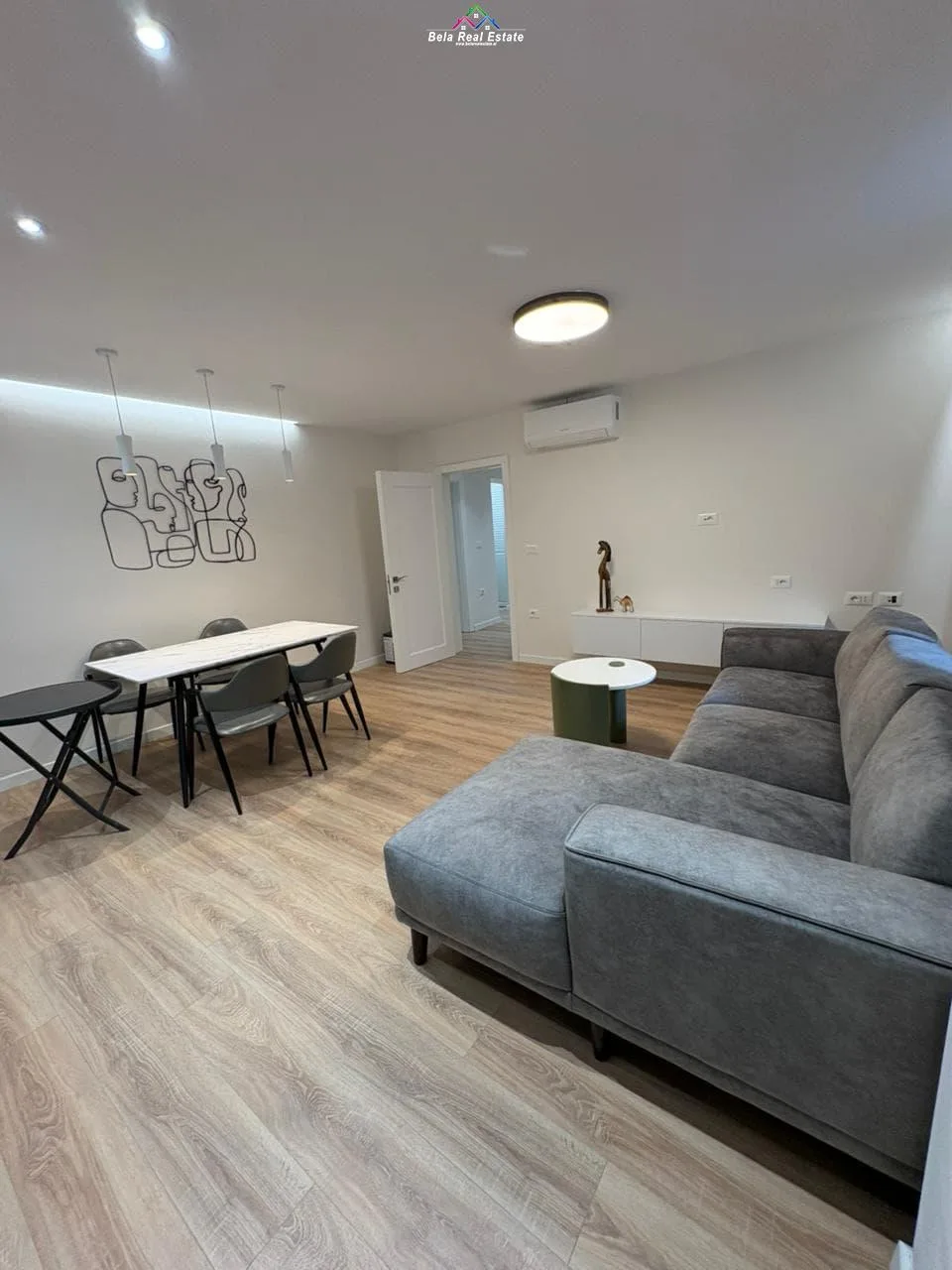 Apartament Me Qera 2+1 Ne Qender (ID B221235) Tirane
