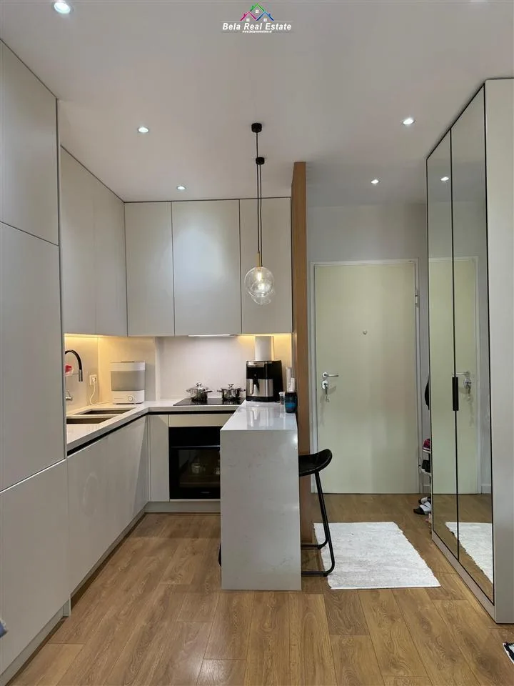 Apartament Me Qera 1+1 Tek Ish-Parku i Autobuzave (ID B2101129) Tirane