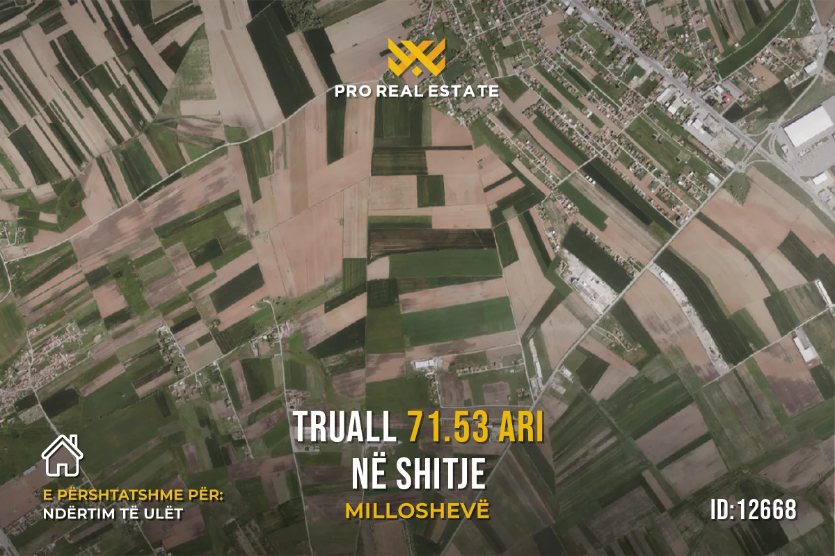 Truall 71.53 Ari për #SHITJE në Milloshevë