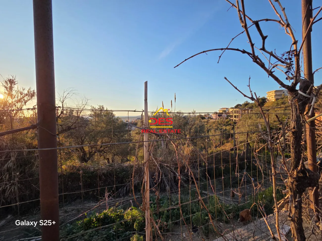 Shitet tokë ullishte pranë kuzum baba, vlorë