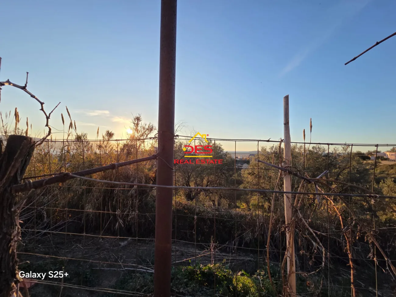 Shitet tokë ullishte pranë kuzum baba, vlorë