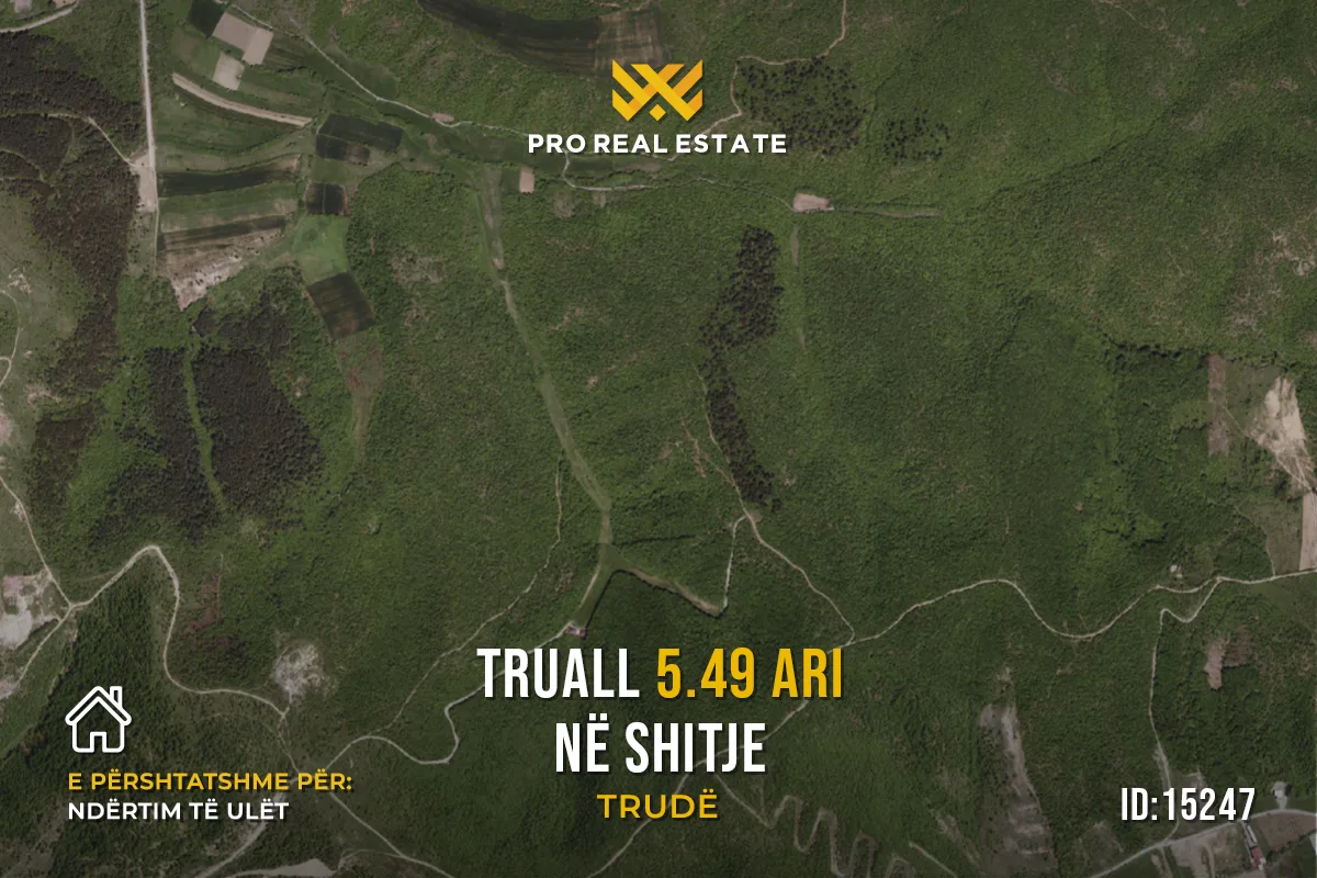 Truall 5.49 Ari për #SHITJE në Trudë