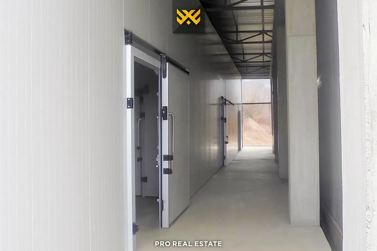Truall 1.46 Ha dhe Fabrikë 1200m² për #SHITJE në Rimanishtë