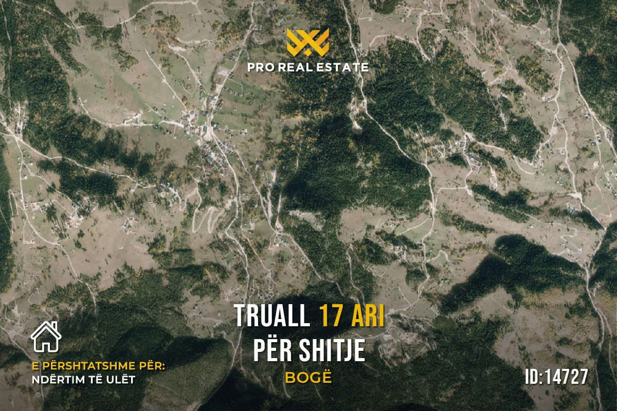 Truall 17 Ari për #SHITJE në Bogë