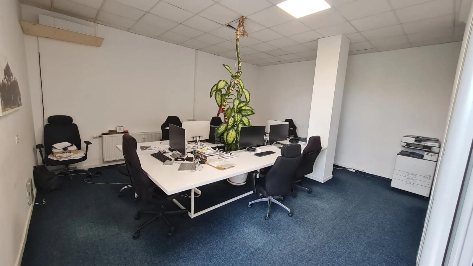 Lokal me qira 64m² në Bregun e Diellit