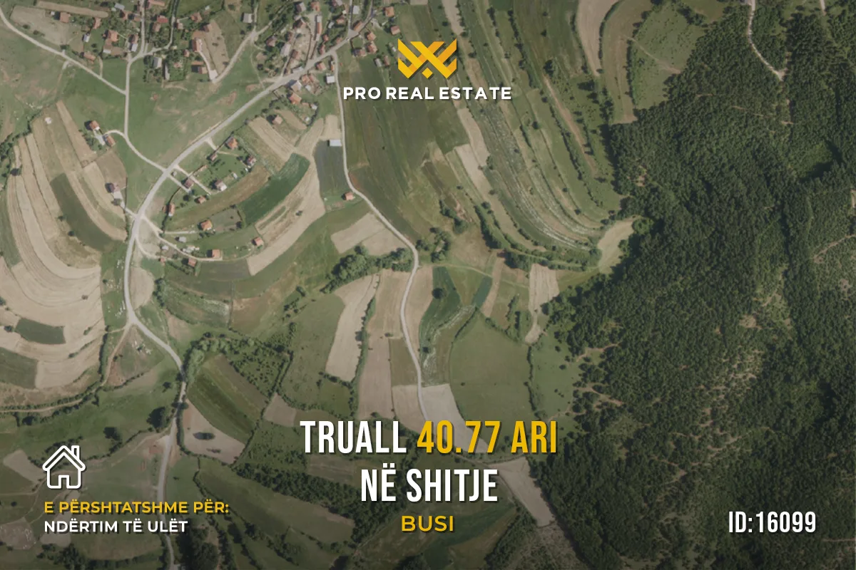 Truall 40.77 Ari për #SHITJE në Busi