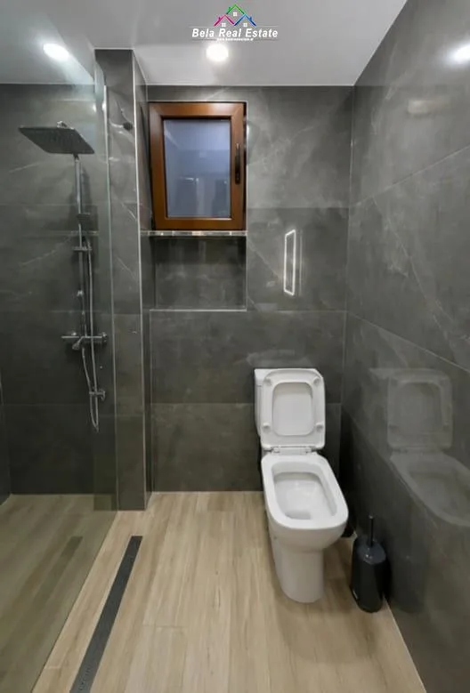 Vile Me Qera 1+1 Tek Ish Parku (ID BV22616) Tirane