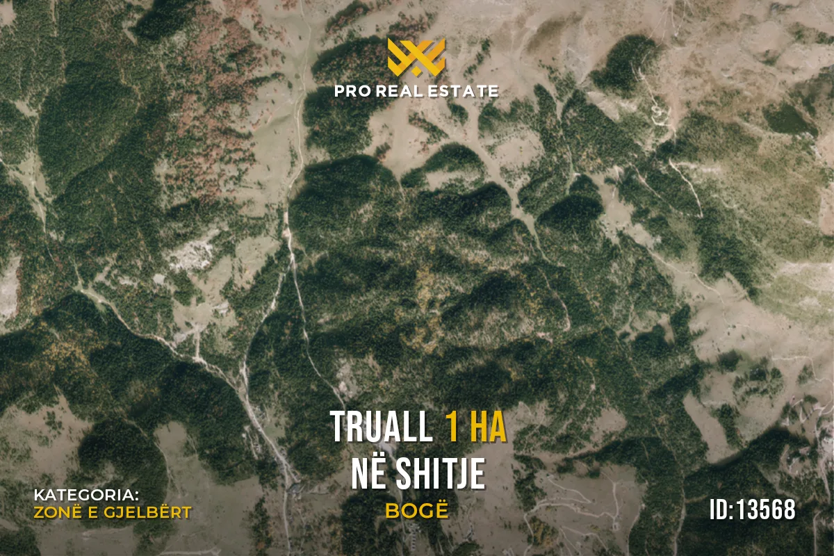 Truall 1 Ha për #SHITJE në Bogë