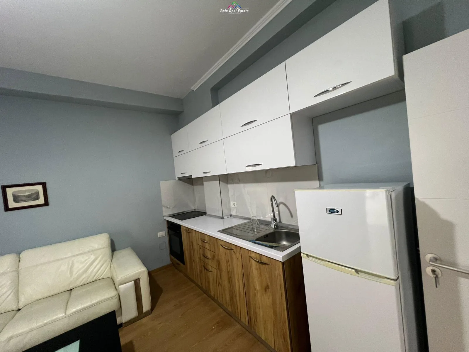Kat Vile me Qera 1+1 ne Ali Demi (ID BV22371) Tirane.