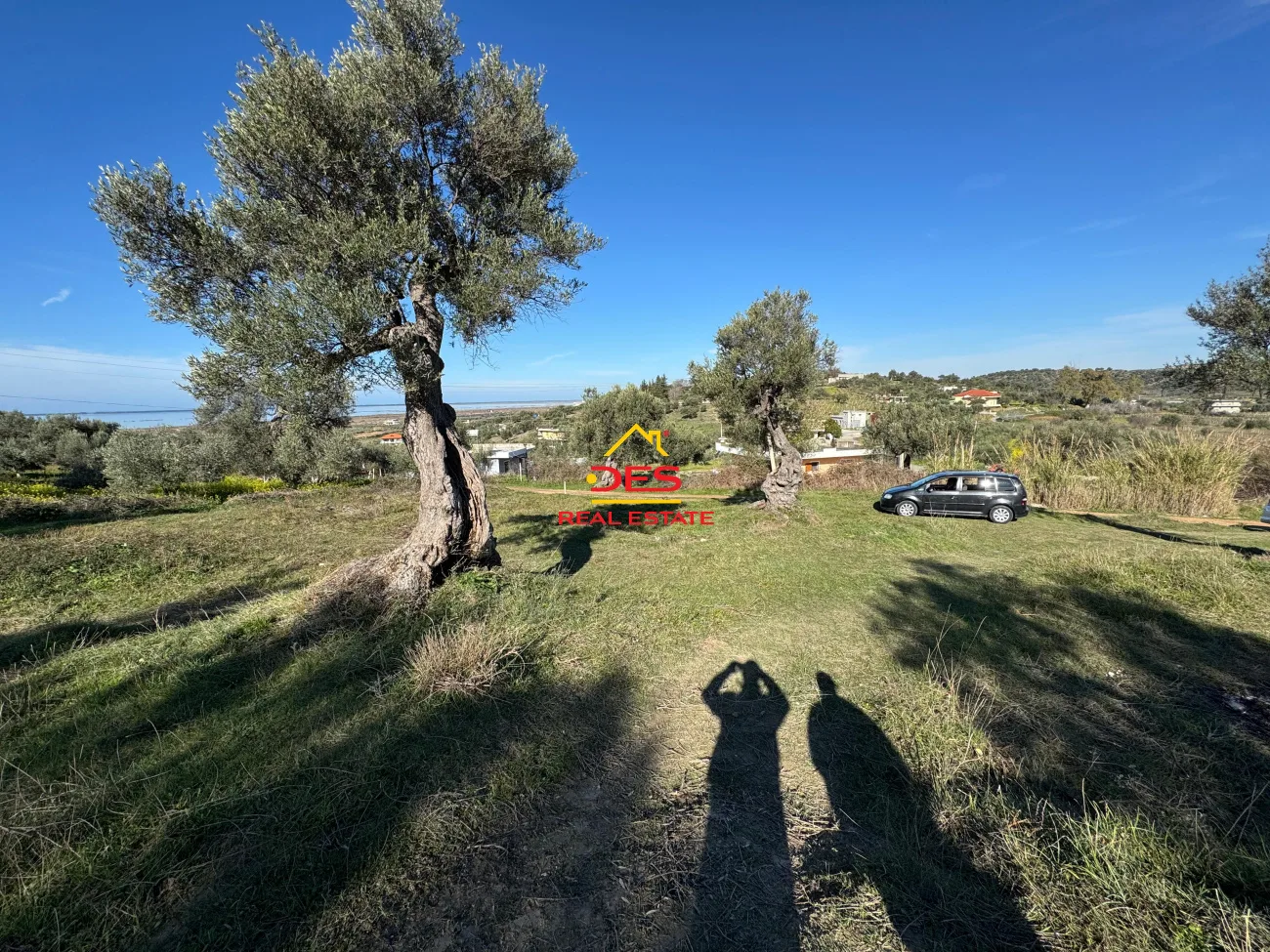 SHITET TOKË – ULLISHTE NË HYRJE TË FSHATIT PANAJA, VLORË ❗ Shitet ose ndërrohet me apartament❗