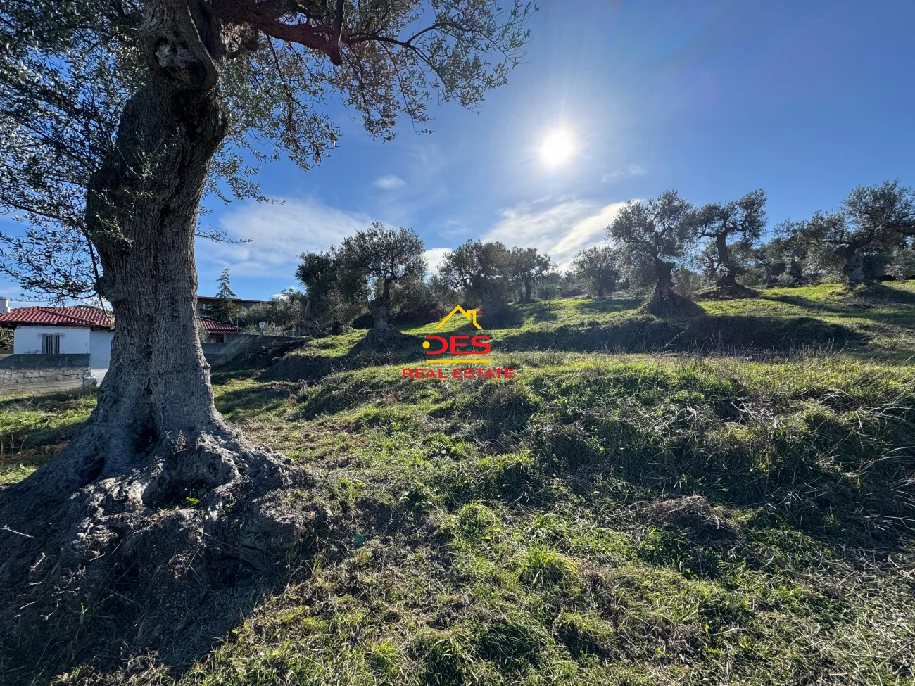 SHITET TOKË – ULLISHTE NË HYRJE TË FSHATIT PANAJA, VLORË ❗ Shitet ose ndërrohet me apartament❗