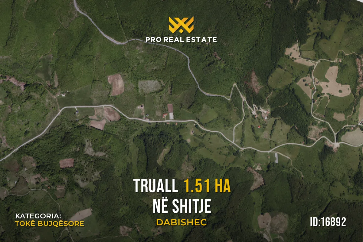 Truall 1.51 Ha për #SHITJE në Dabishec