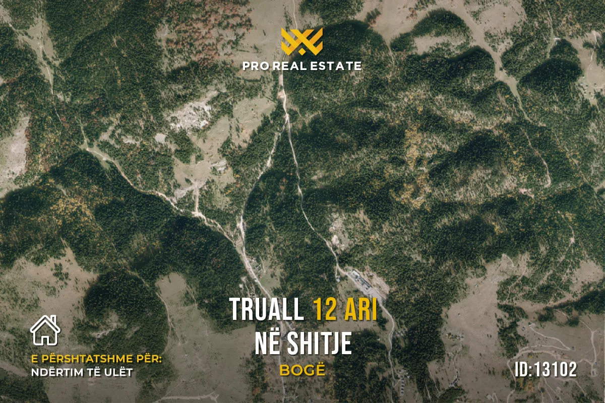 Truall 12 Ari për #SHITJE në Bogë