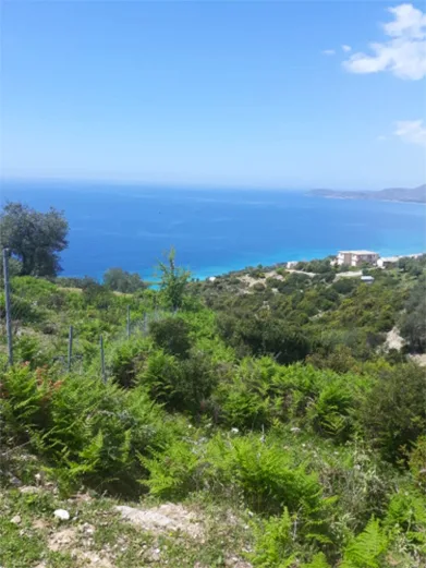 Shitet tokë bujqësore në fshatin piqeras,sarandë