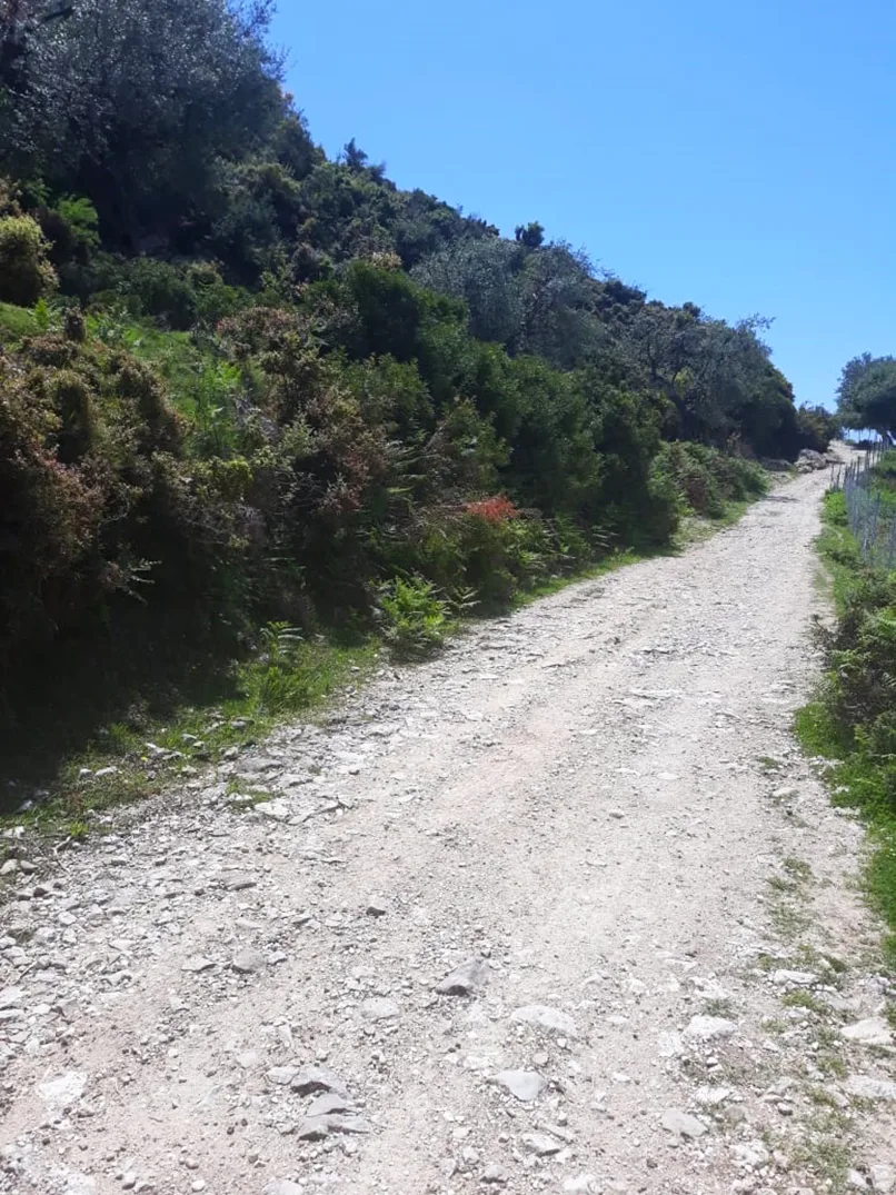 Shitet tokë bujqësore në fshatin piqeras,sarandë