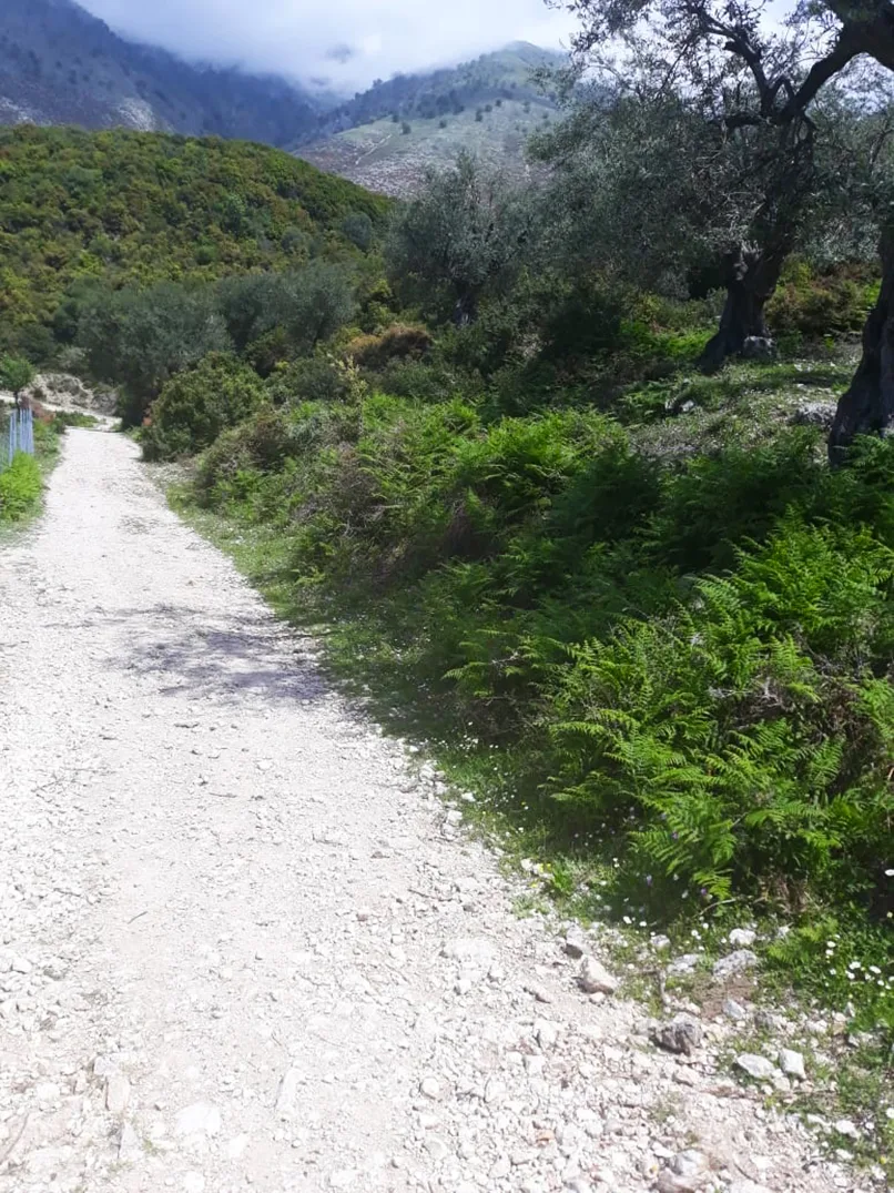 Shitet tokë bujqësore në fshatin piqeras,sarandë
