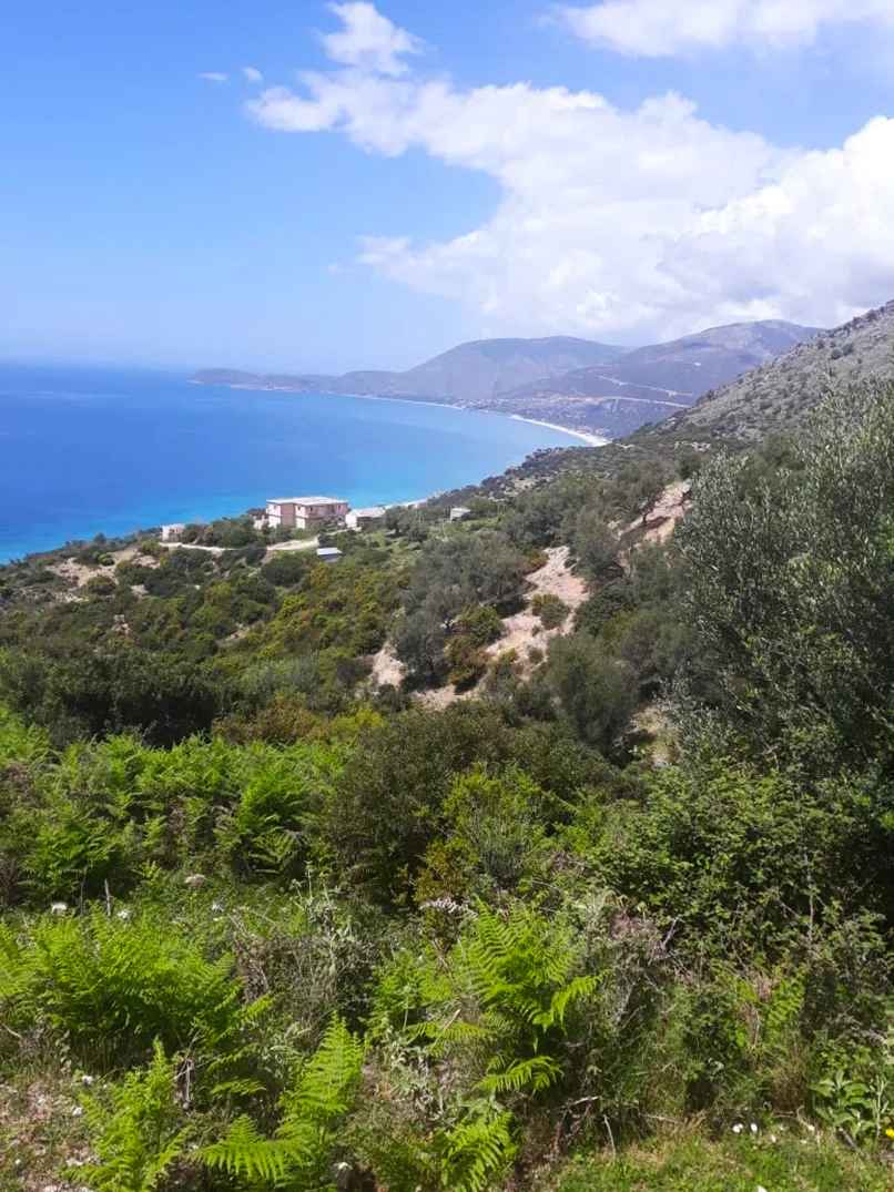 Shitet tokë bujqësore në fshatin piqeras,sarandë