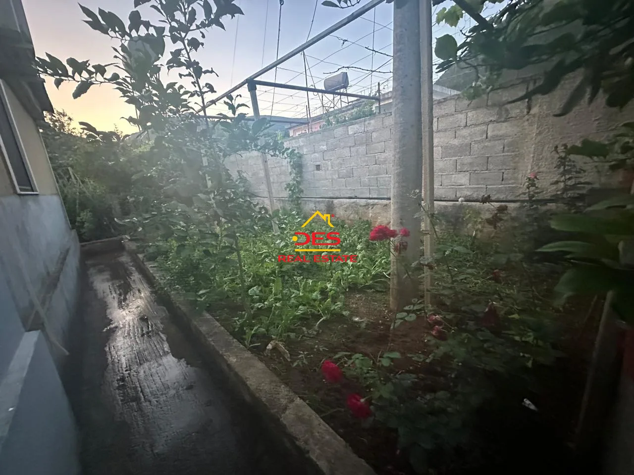 Shitet shtepi private + ambient biznesi ne delvine ,rusan