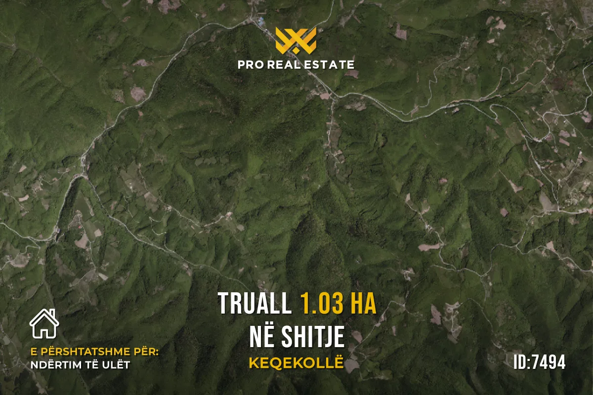 Truall 1.03 Ha për #SHITJE në Keqekollë