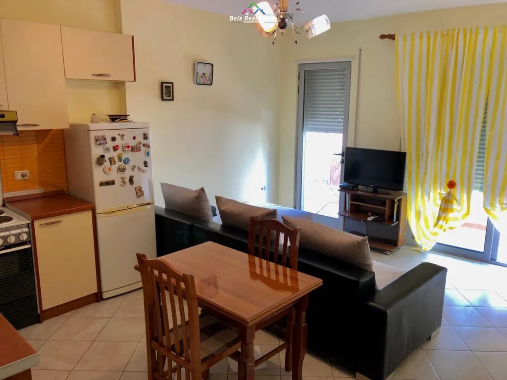 Apartament Me Qera 1+1 Ne Rrugen Mine Peza (ID B210782) Tirane.