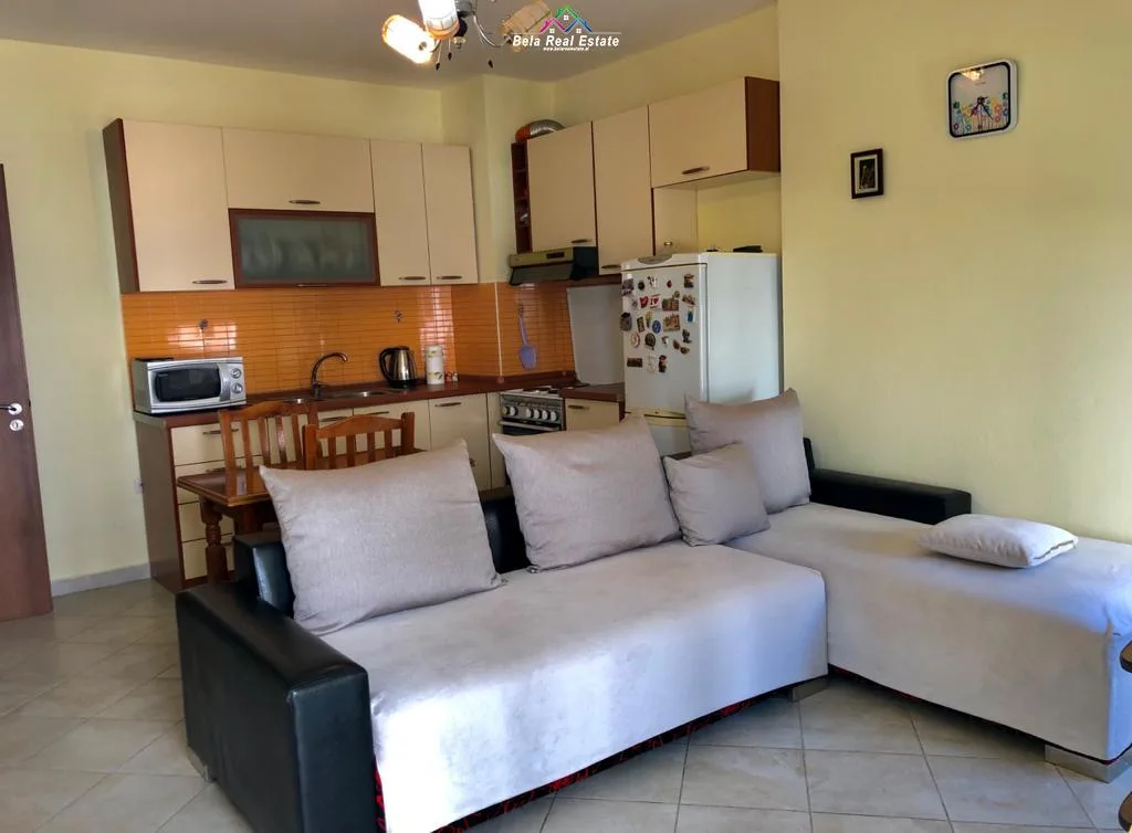 Apartament Me Qera 1+1 Ne Rrugen Mine Peza (ID B210782) Tirane.