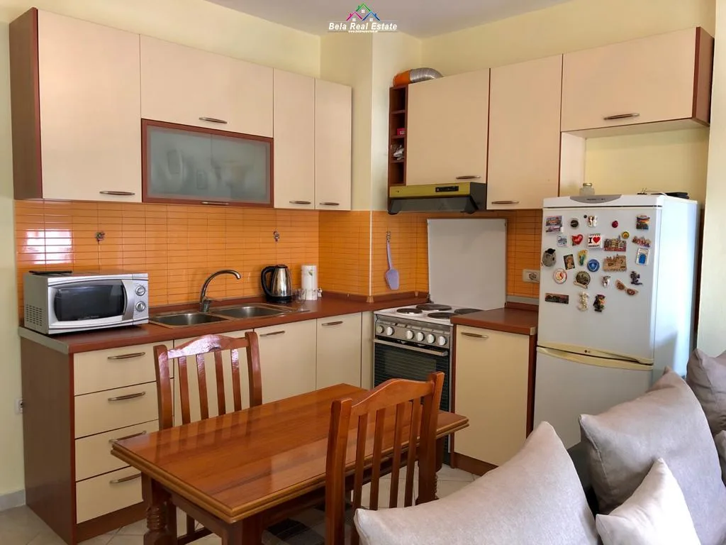 Apartament Me Qera 1+1 Ne Rrugen Mine Peza (ID B210782) Tirane.
