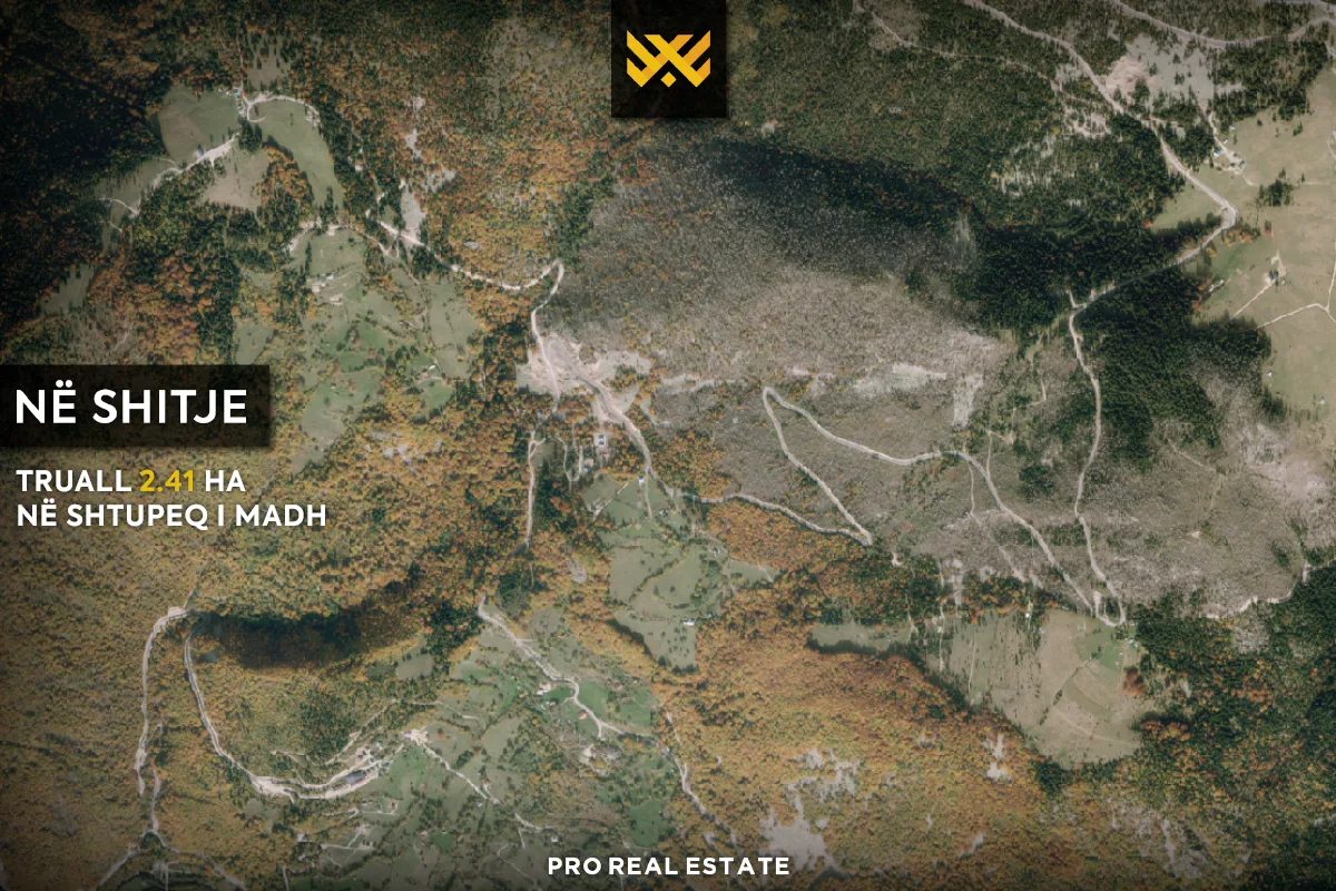 Truall 2.41 Ha për #SHITJE në Shtupeq i Madh, Rugovë.