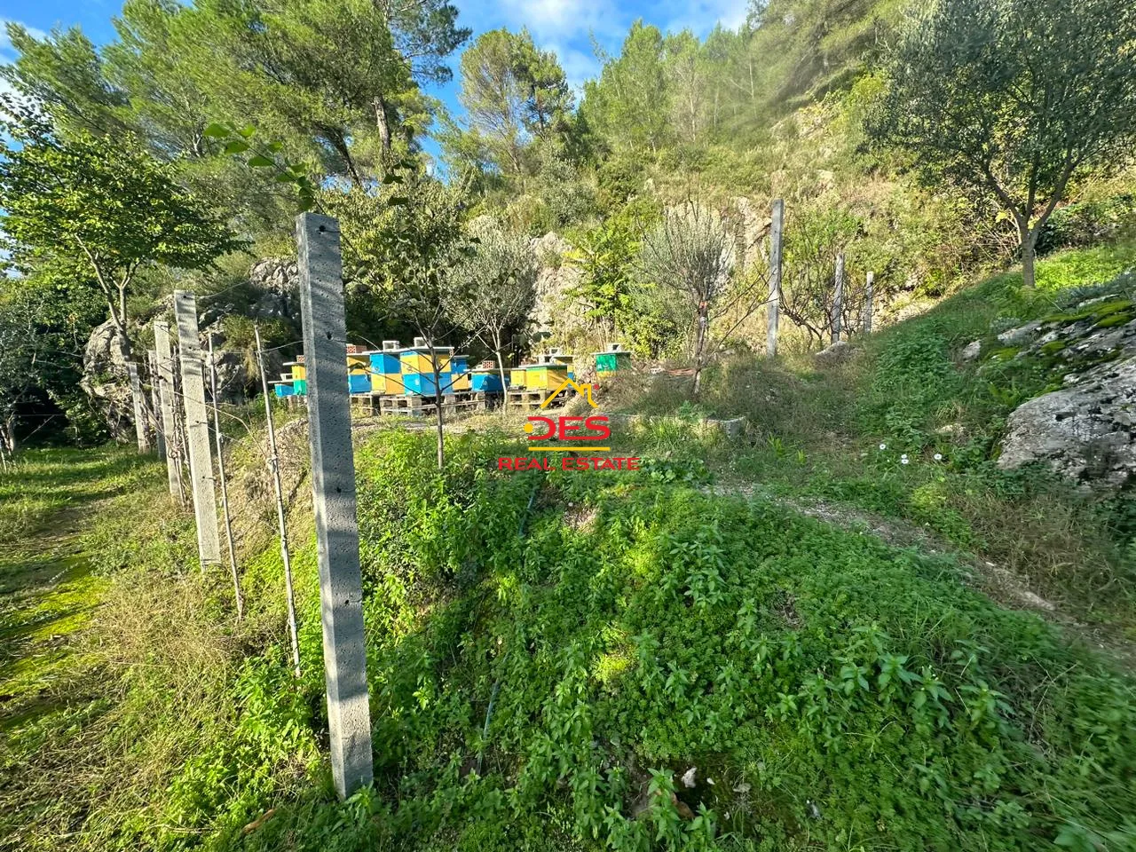 Shitet vilë 2 katëshe në delvinë