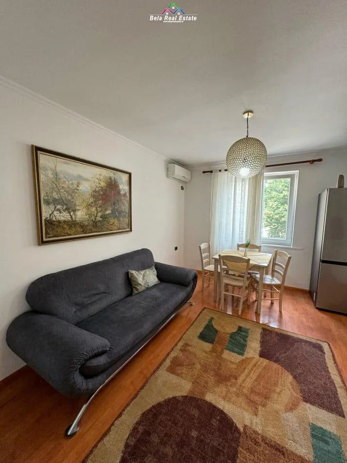 Apartament Me Qera 1+1 Tek Myslym Shyri (ID B211318) Tirane