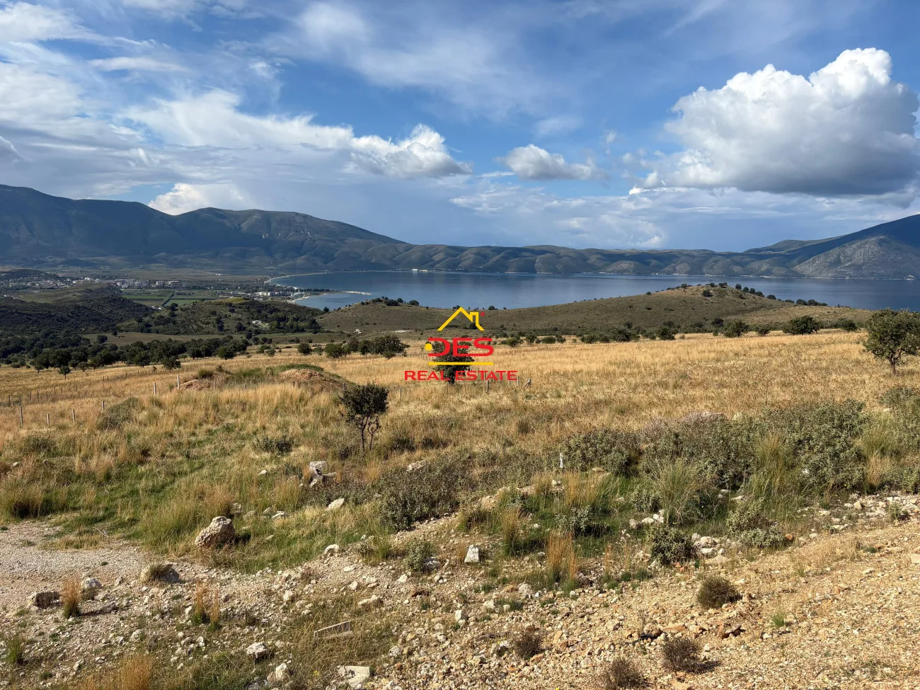 Shitet tokë – pemëtore në radhimë, vlorë.