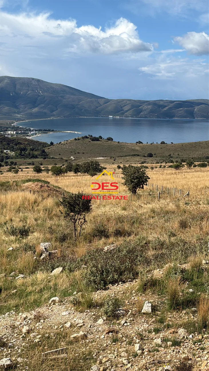 Shitet tokë – pemëtore në radhimë, vlorë.