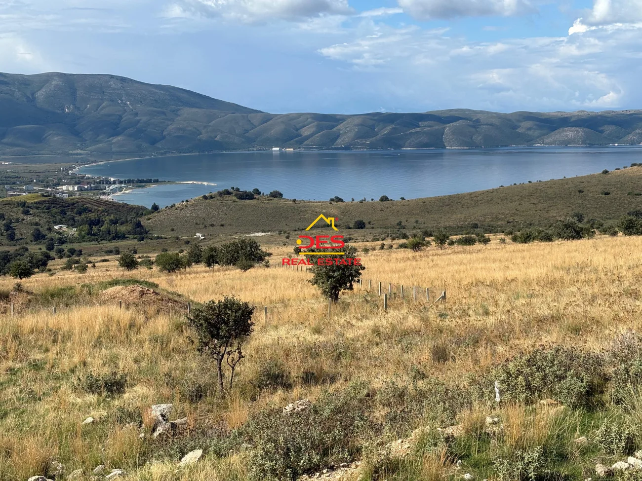 Shitet tokë – pemëtore në radhimë, vlorë.