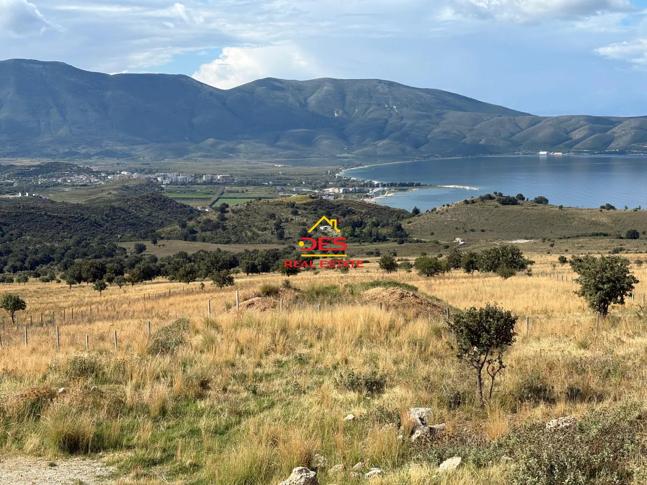 Shitet tokë – pemëtore në radhimë, vlorë.