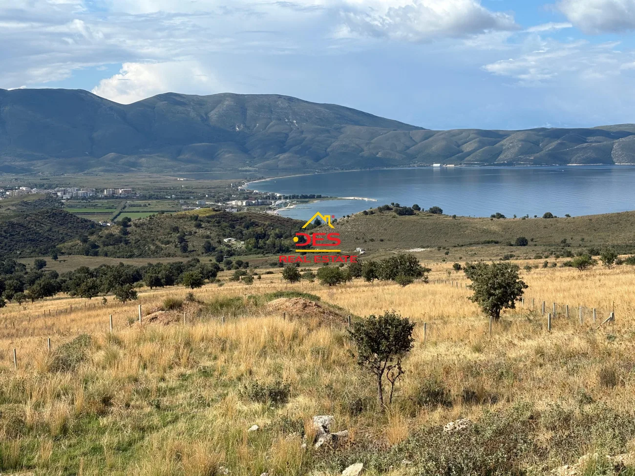 Shitet tokë – pemëtore në radhimë, vlorë.