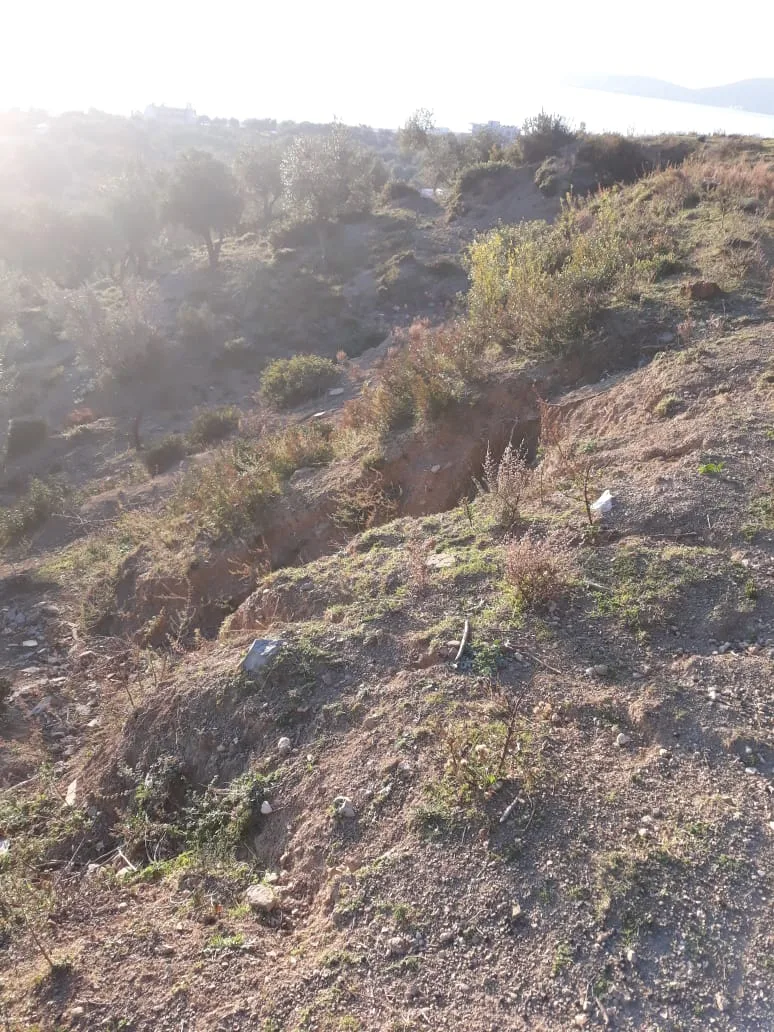 Shitet tokë ullishte në fshatin borsh, himarë