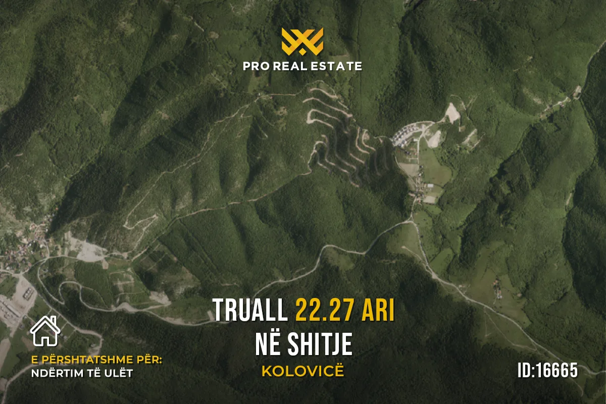 Truall 22.27 Ari për #SHITJE në Kolovicë