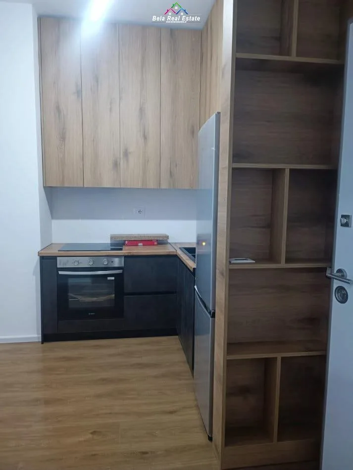 Apartament Me Qera 1+1 Ne Fresk (ID B2101493) Tirane