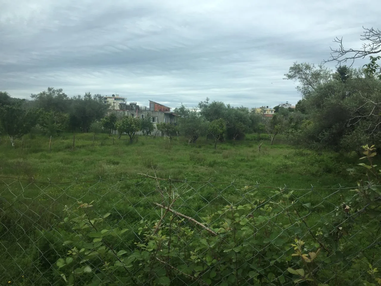 Shitet truall 2500 m² pranë bashkisë himarë