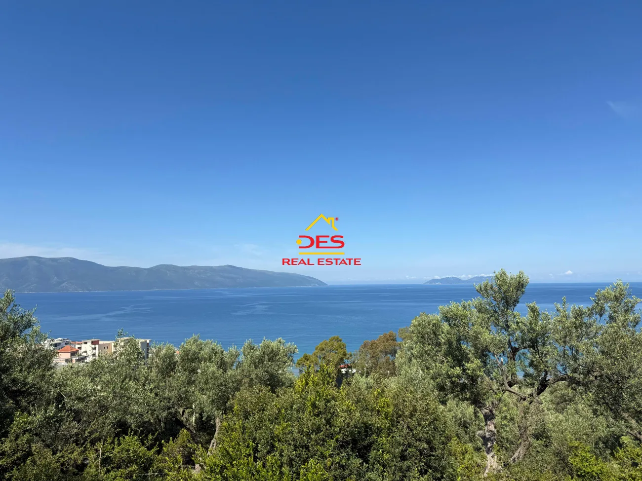 Shitet tokë – ullishte mbi rrapin, vlorë