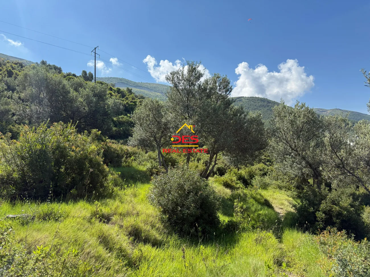 Shitet tokë – ullishte mbi rrapin, vlorë