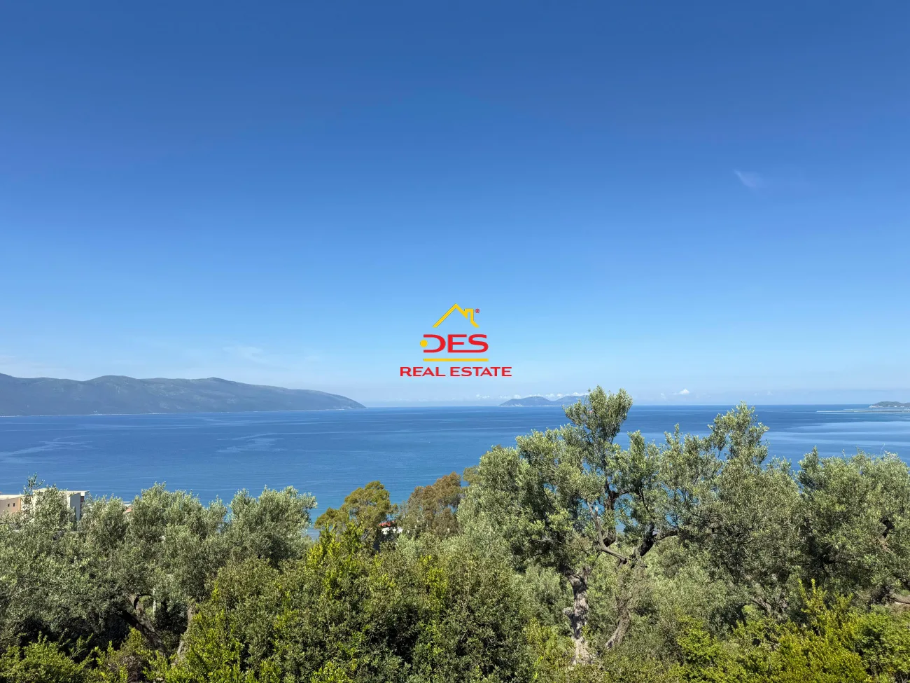 Shitet tokë – ullishte mbi rrapin, vlorë
