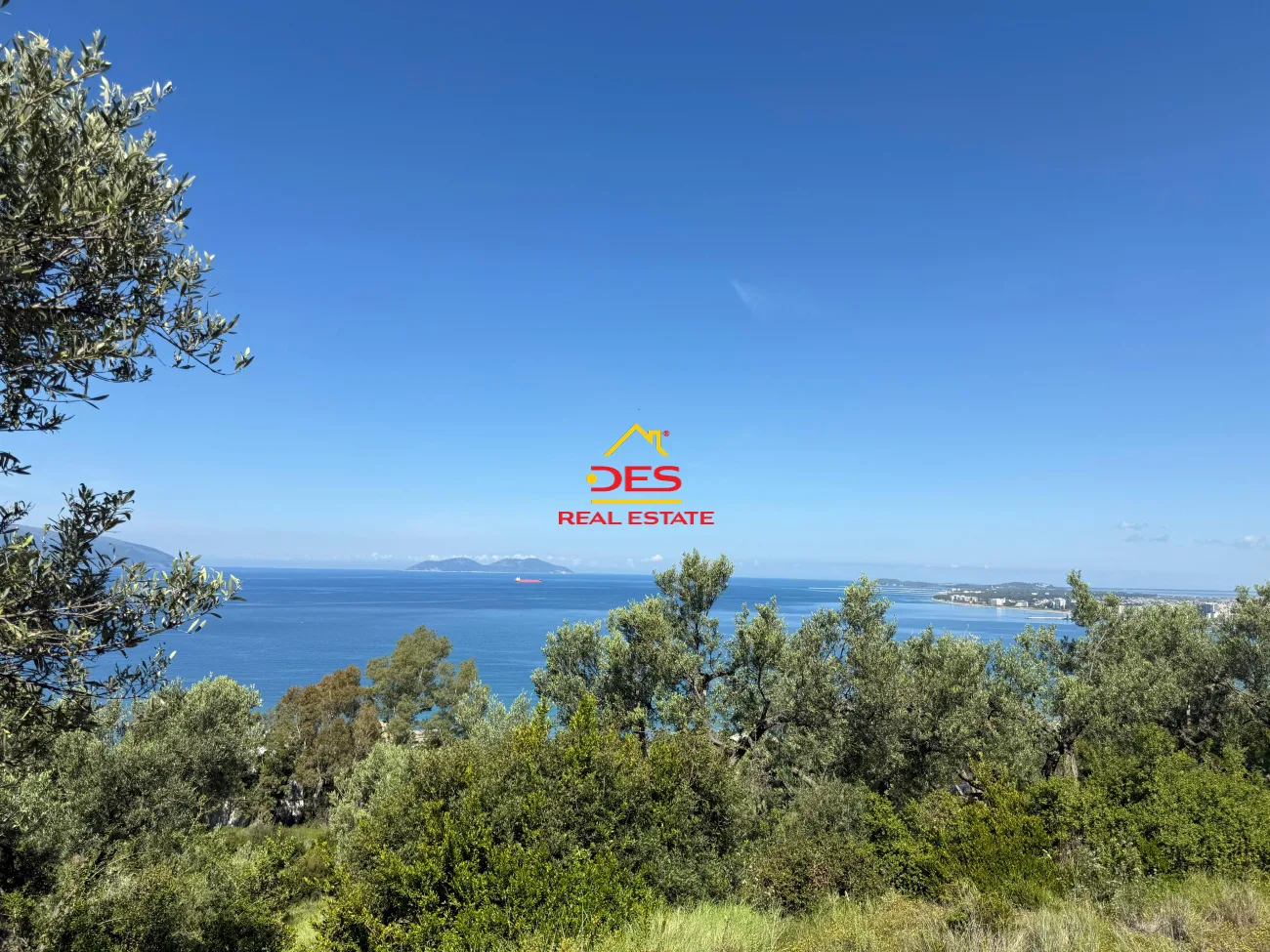 Shitet tokë – ullishte mbi rrapin, vlorë