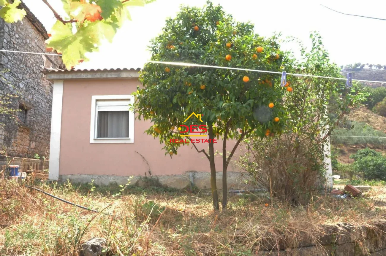Shitet shtëpi private + toke truall ne delvine