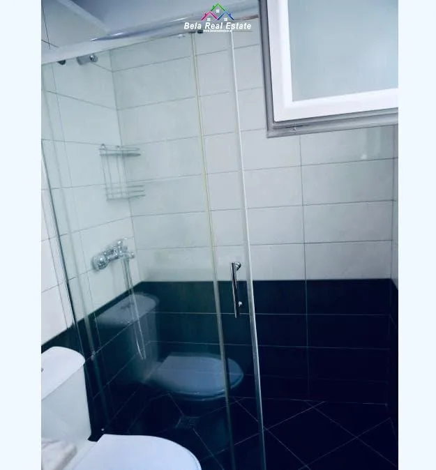 Kat Vile Me Qera 3+1 Tek Parku Olimik (ID BV22350) Tirane