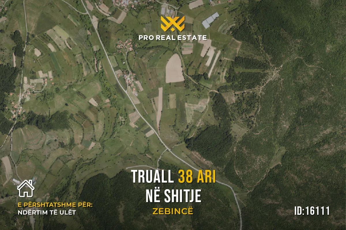 Truall 38 Ari për #SHITJE në Zebincë