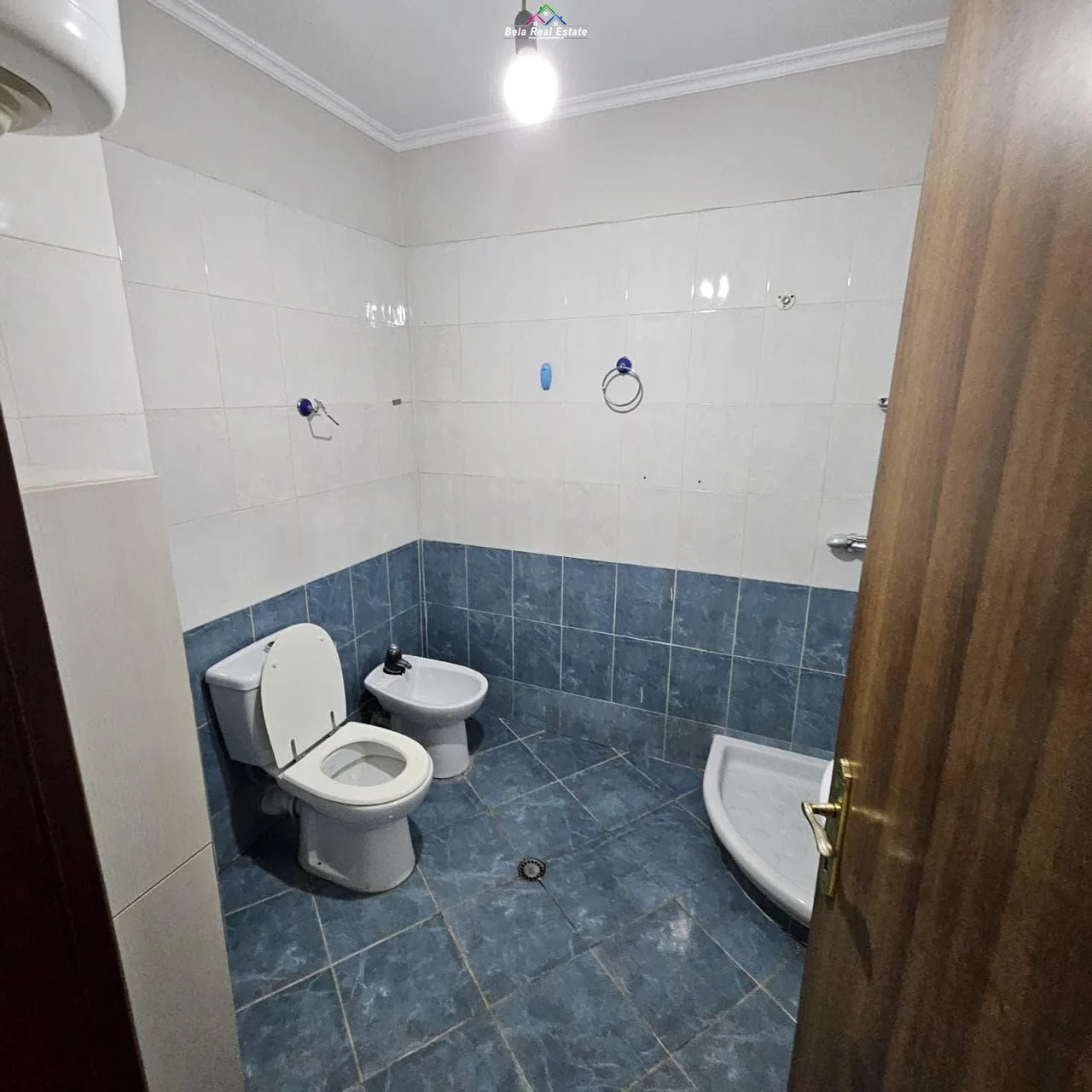 Apartament Me Qera 1+1 Tek Ish Parku (ID B210836)Tirane