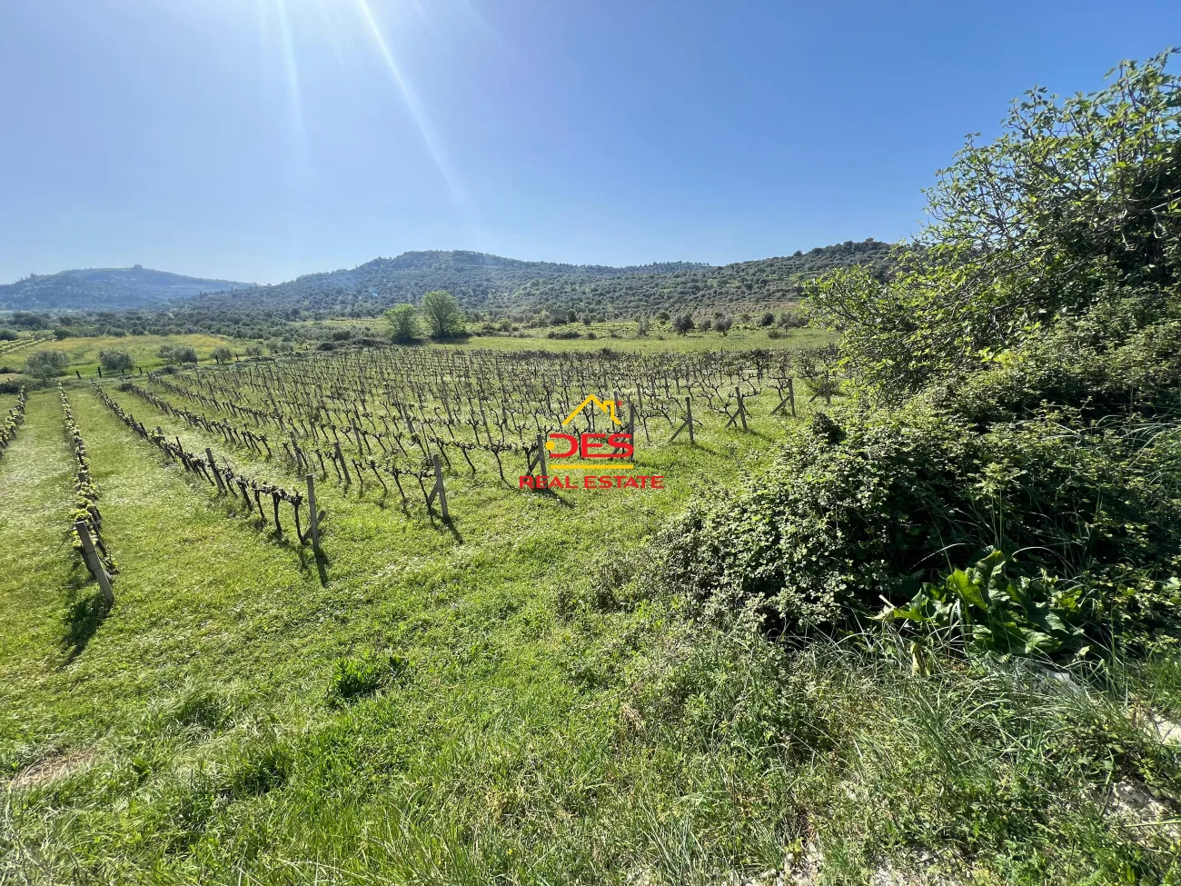 Shitet tokë – arë në panaja,vlorë.