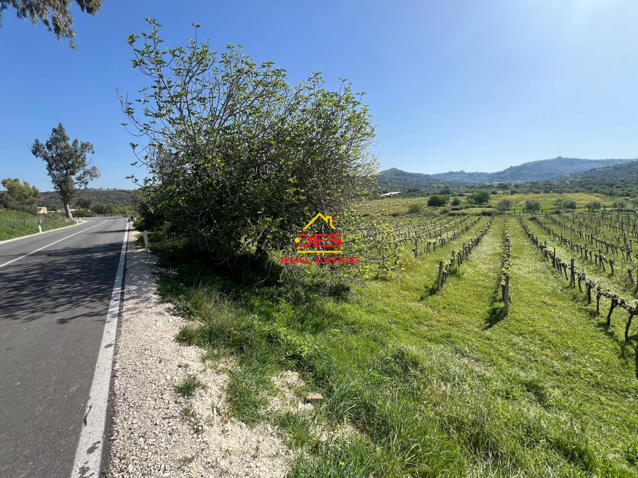 Shitet tokë – arë në panaja,vlorë.